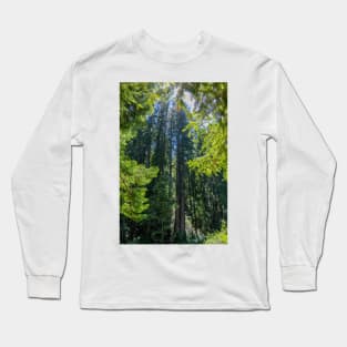 Various Shades of Green in Muir Woods National Monument Long Sleeve T-Shirt